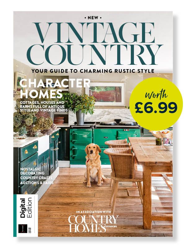 Vintage Country e-book cover