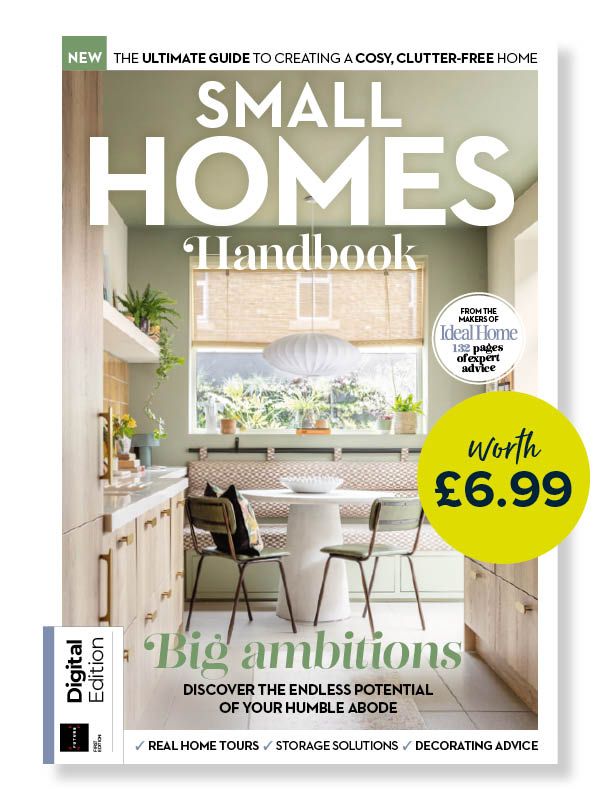 The Small Homes  e-book cover