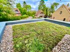Meadow View