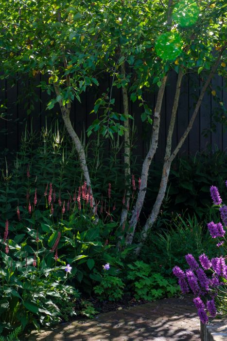 Garden Design - Modern Country New Build