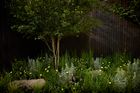 RHS Gold Medal Show Garden 2023
