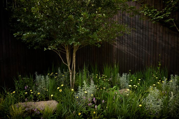 RHS Gold Medal Show Garden 2023