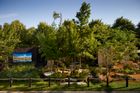 RHS Gold Medal Show Garden 2023