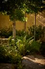 RHS Gold Medal Show Garden 2023