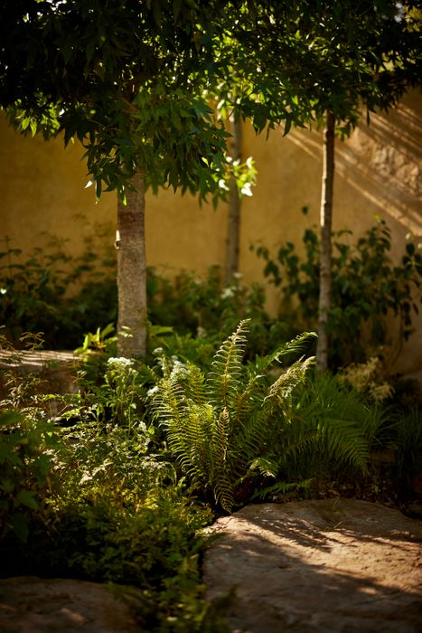 RHS Gold Medal Show Garden 2023