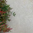 Kebur Egyptian Limestone Sinai Pearl Tumbled & Etched