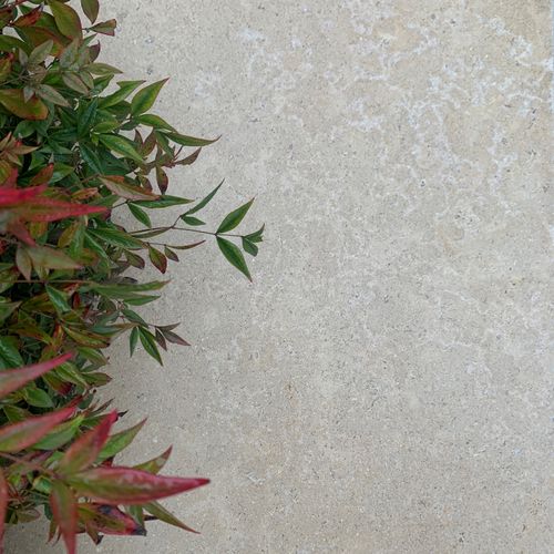 Kebur Egyptian Limestone Sinai Pearl Tumbled & Etched