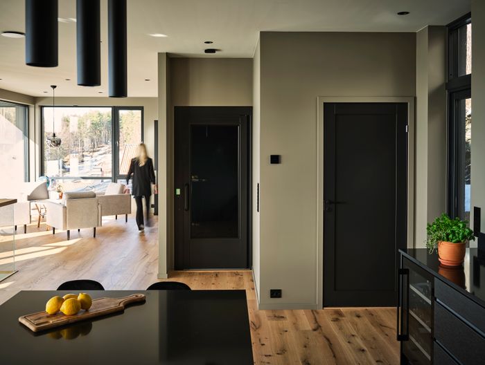 Aritco HomeLift Access