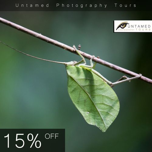 15% Off Selected Photo Tours by Confirming Your Place at the NEC!