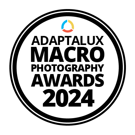 Adaptalux Macro Photography Awards 2024