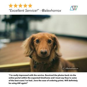 20% off Lab Services