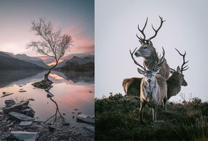 Eversure Photography Show Discount