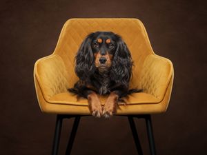 10% off Online Courses