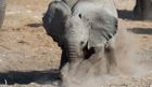Namibia Photo Safari Led by Chris Coe