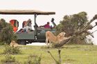 Taylor-Made Safaris