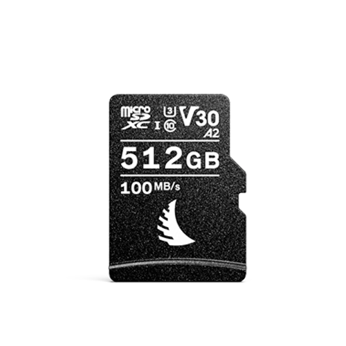 microSD V30