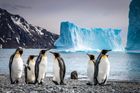 South Georgia & Antarctic Odyssey (21 days) - Save up to 20%