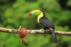Costa Rica and The Panama Canal (15 days) - Save up to 20%