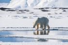 Svalbard Photography Expedition