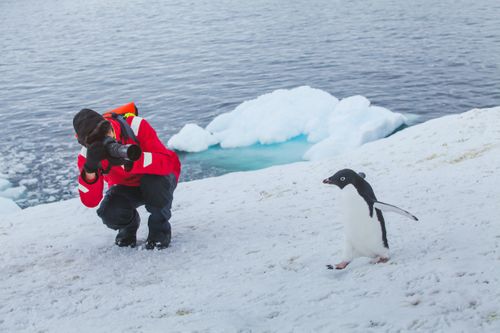 Antarctica Photography and Wildlife Expedition