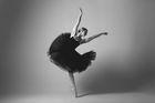 Ballet Dancer Workshop