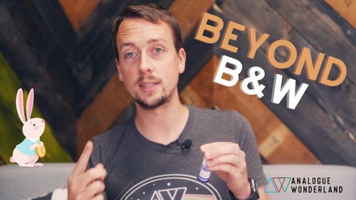 The Wonderland of Film!