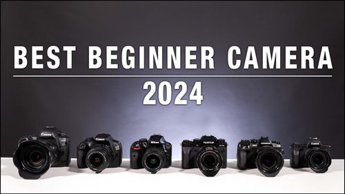 Best Beginner Camera - What you need to know