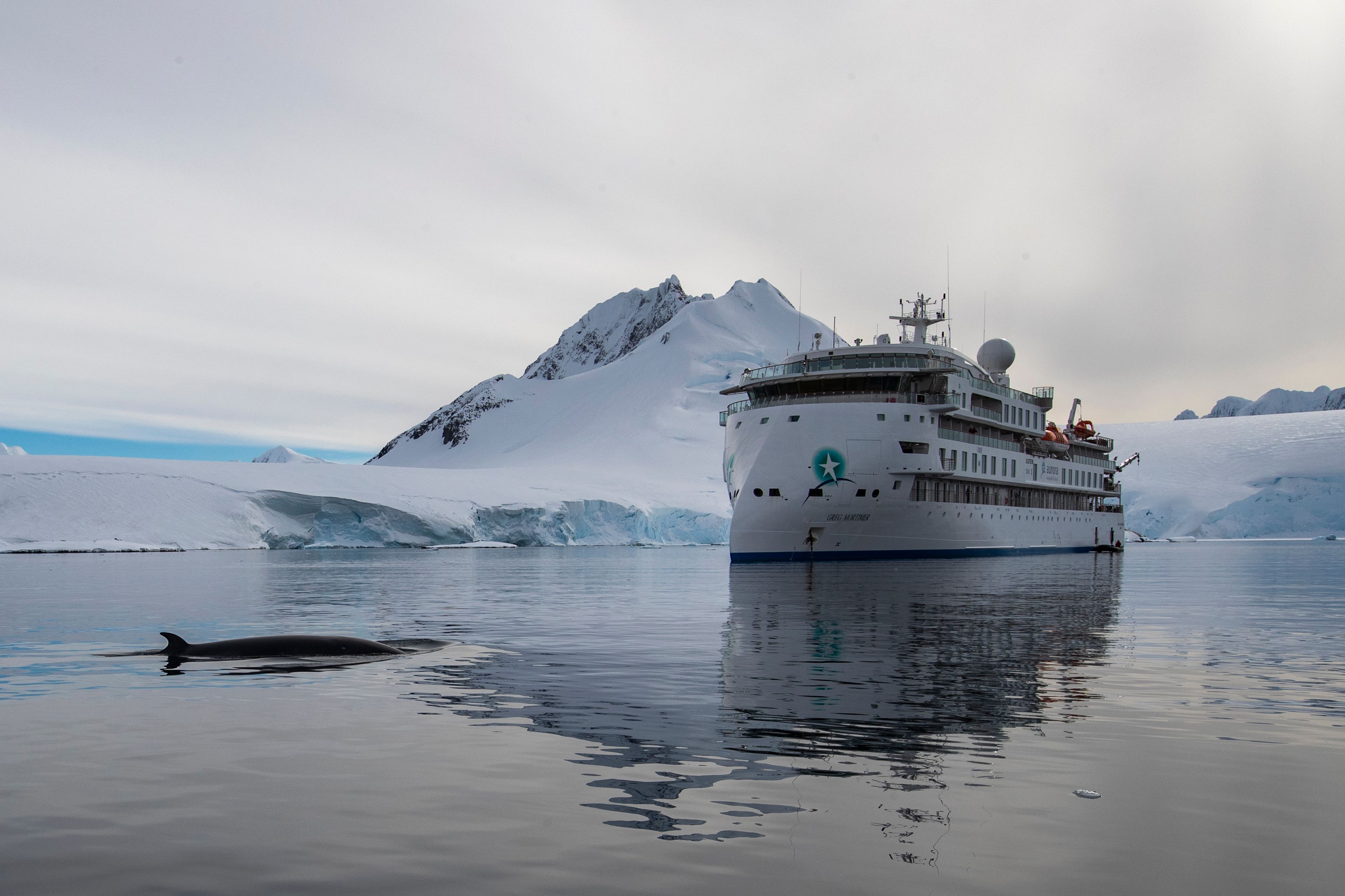 Greg Mortimer Ship Tour