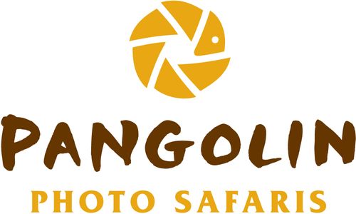 Pangolin Photo Safaris