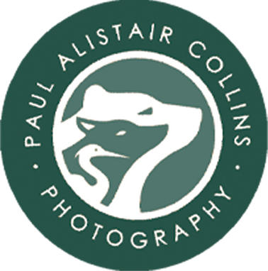 Paul Alistair Collins Photography