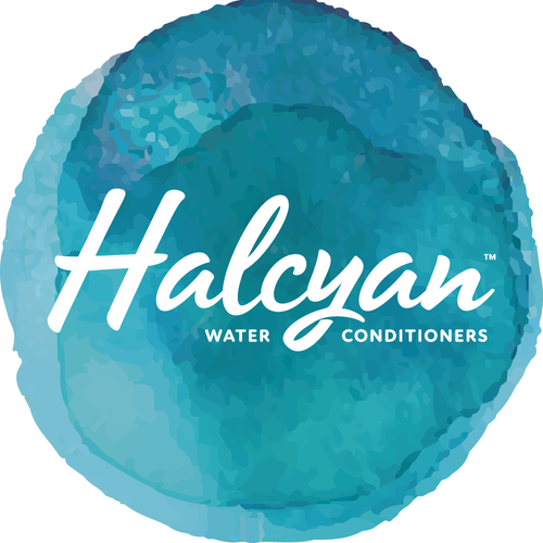 Speaker profile image for Halcyan Ltd