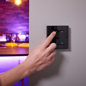 Friends of Hue Smart Switches