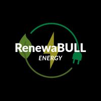 Company name - RenewaBULL Energy