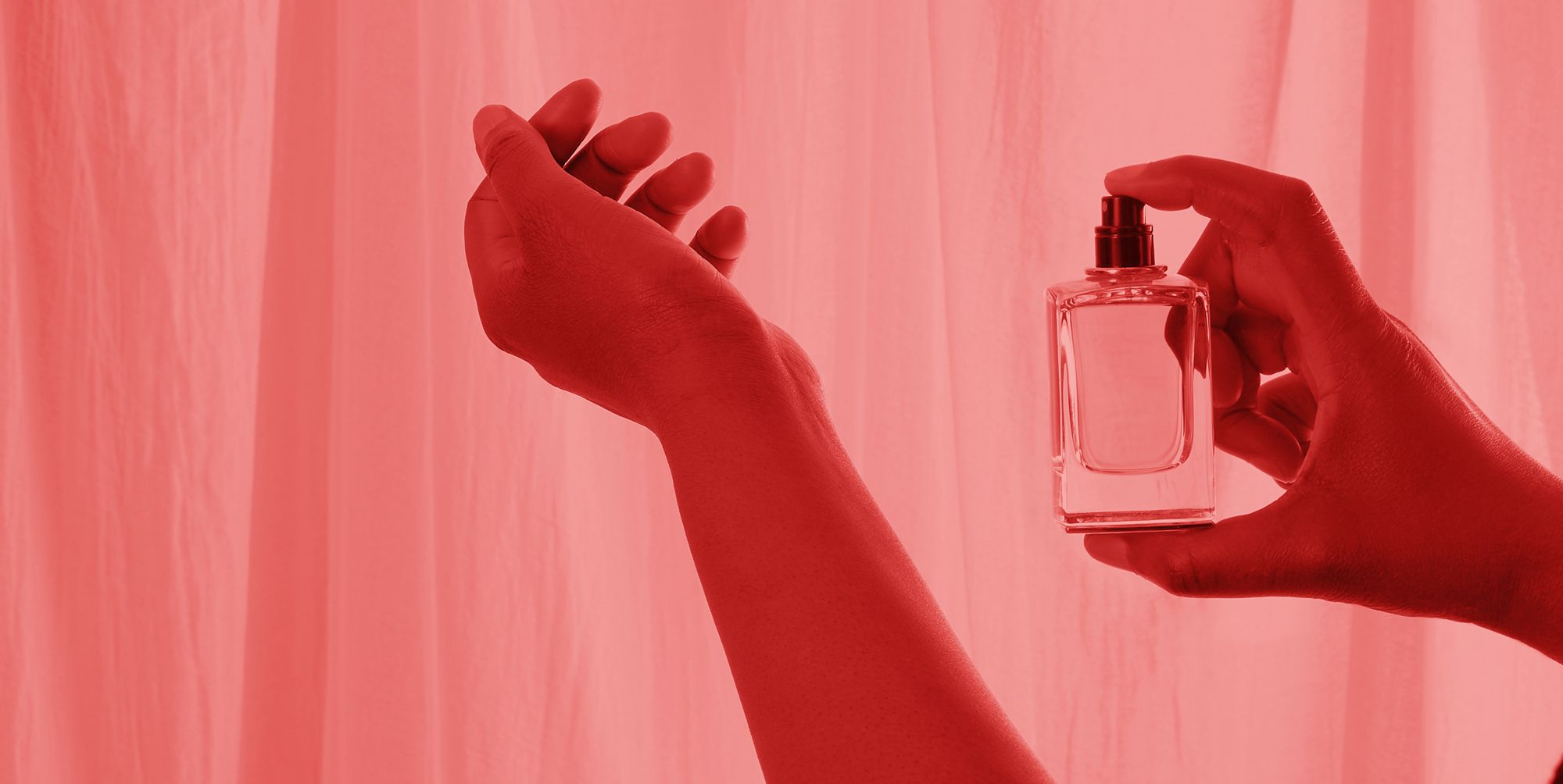 The Perfume Shop