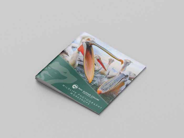 2025 Tour Brochure