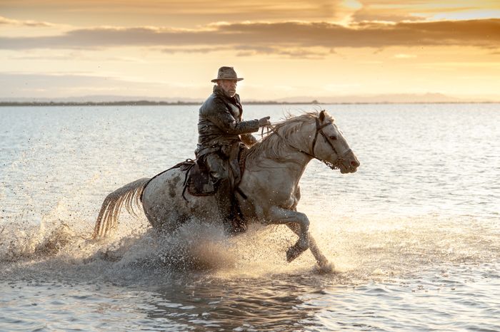 The Camargue Horses and Wildlife Workshop