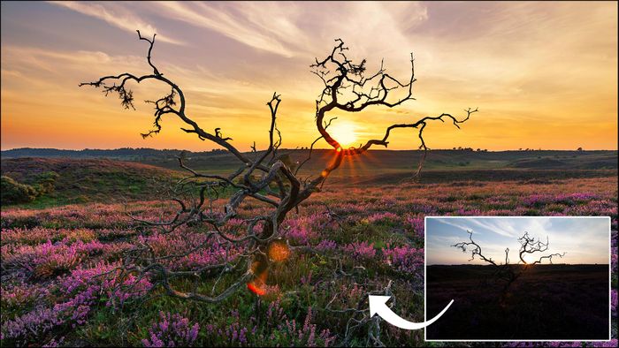 Photoshop Course