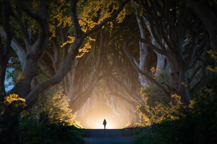 Pro Landscape Photography Course with Tom Archer
