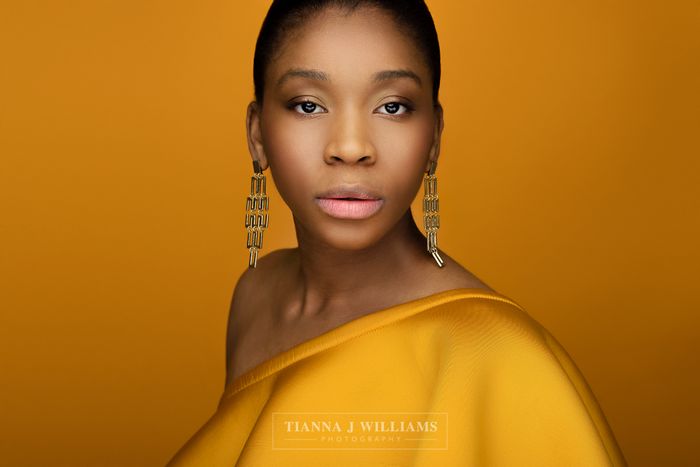TriFlection Studio Reflector