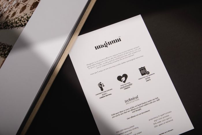 Magnum Albums