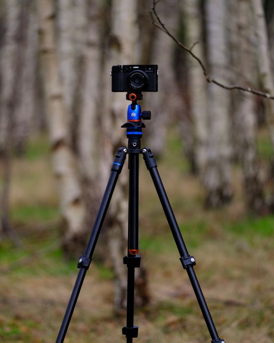 3 Legged Thing Punks PATTI 2.0 Flip Lock Tripod