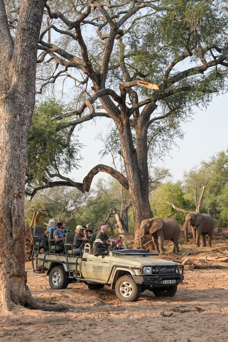 Botswana Photo Safari