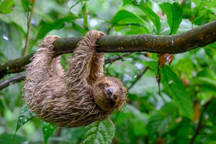 Costa Rica Photo Tour