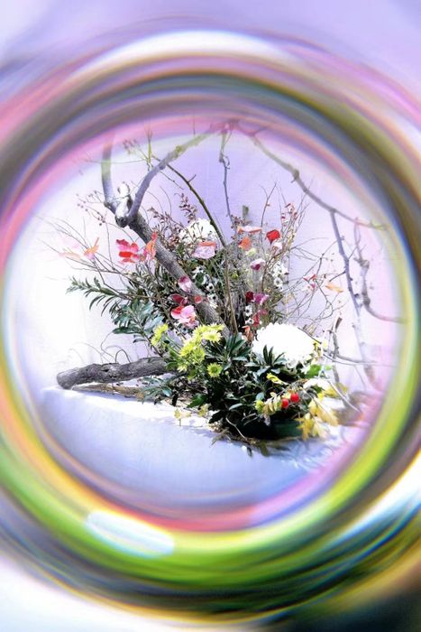 LIPA Halo Filter