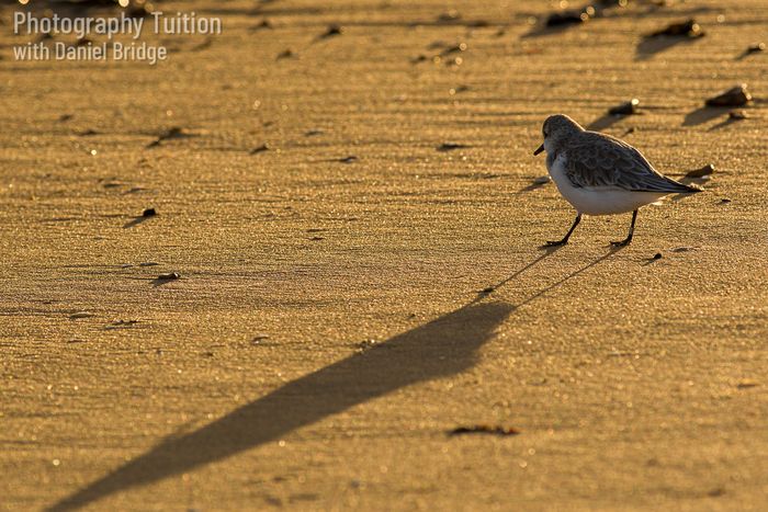 Sea and Shore Photography Workshops