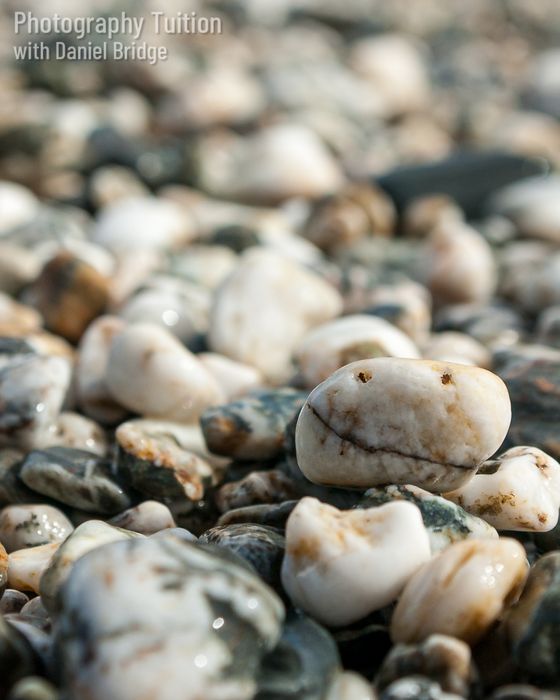 Sea and Shore Photography Workshops