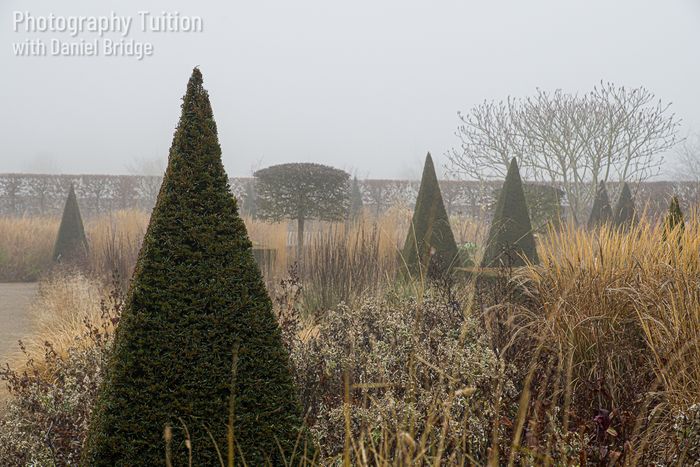 Art of Garden Photography Workshops