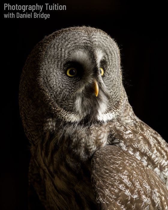 Private Photography Tuition