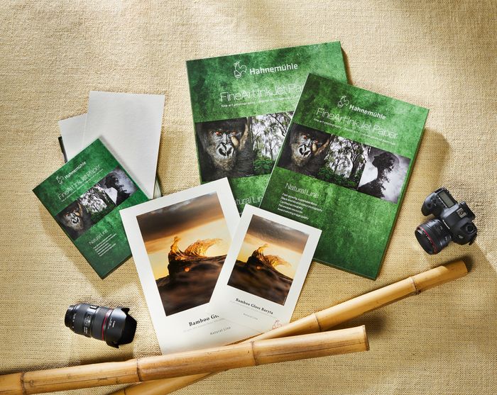 Hahnemühle Official Partner