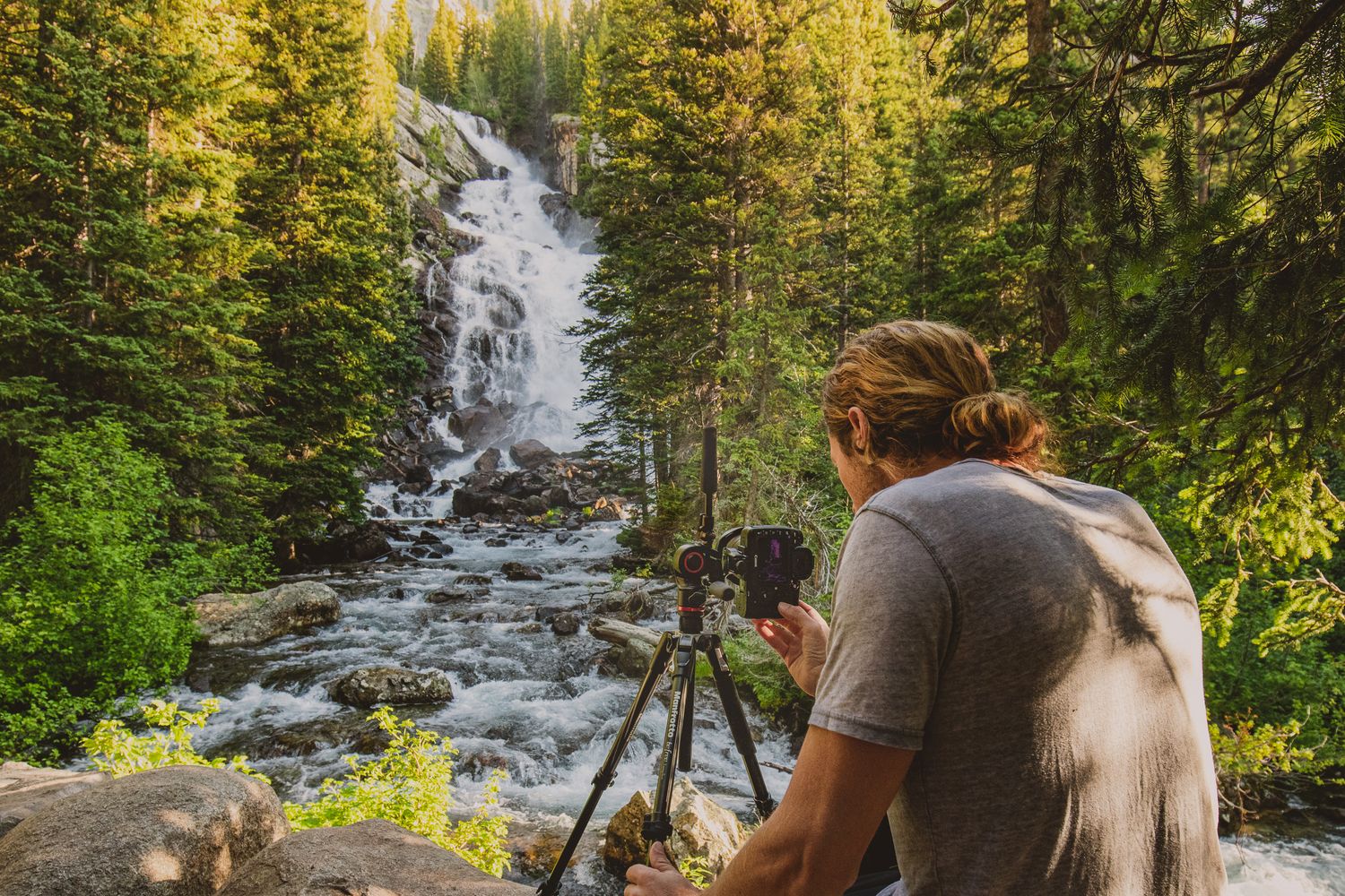 Manfrotto